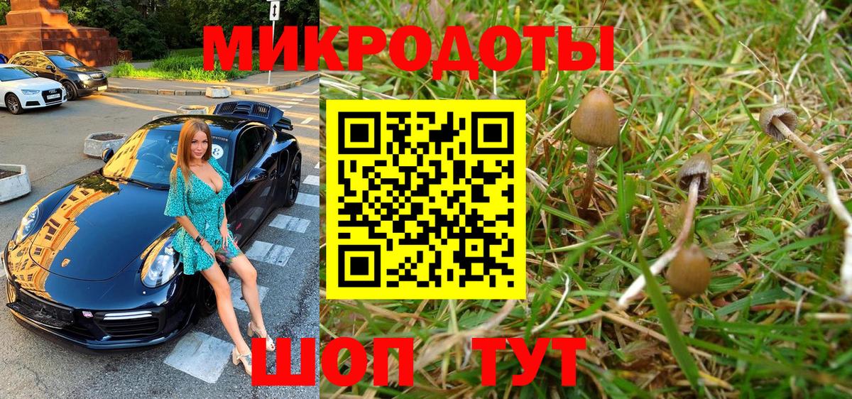 Псилоцибиновые грибы GOLDEN TEACHER  Галлюциногенные грибы мицелий  Вход с VPN  Саяногорск 